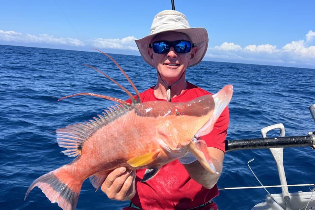 NEARSHORE-hogfish (3)