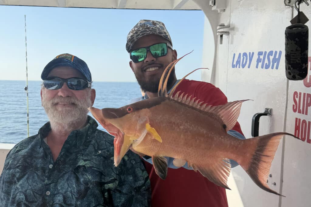 NEARSHORE-hogfish (4)