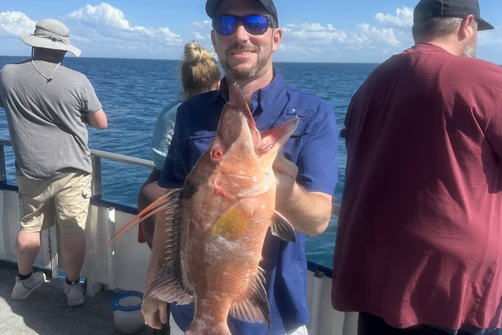 NEARSHORE-hogfish (4)