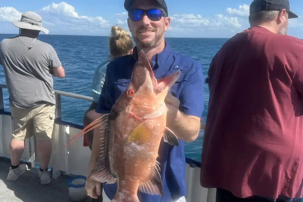 NEARSHORE-hogfish (4)