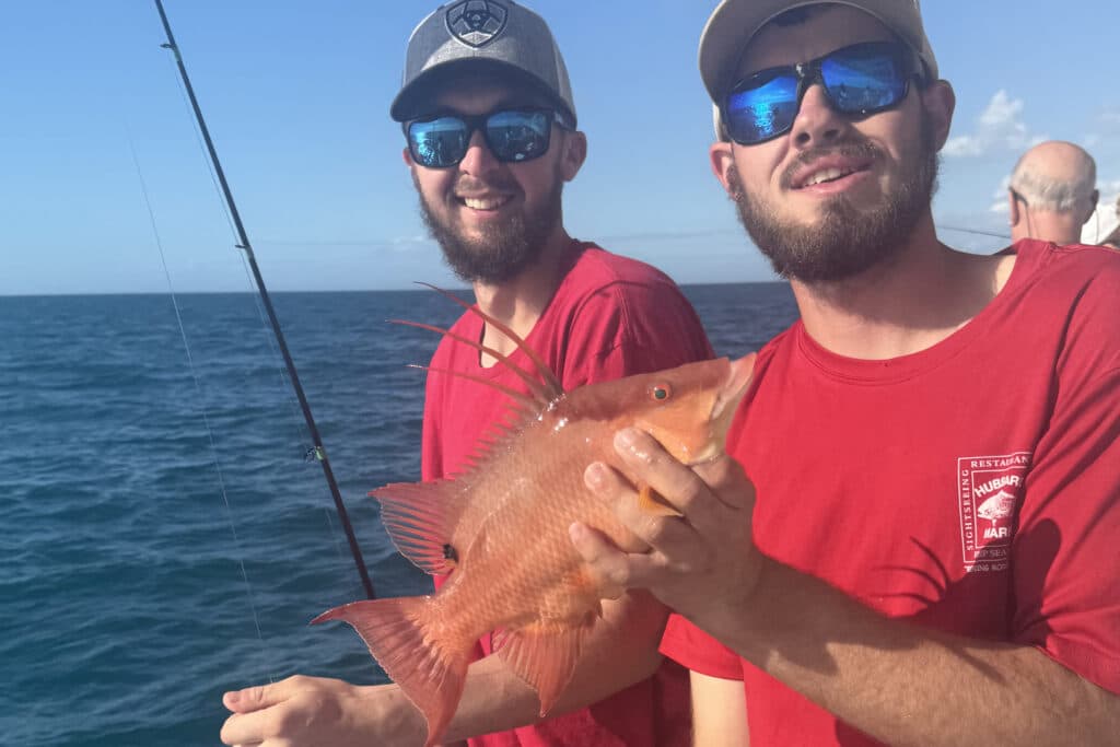 NEARSHORE-hogfish (7)