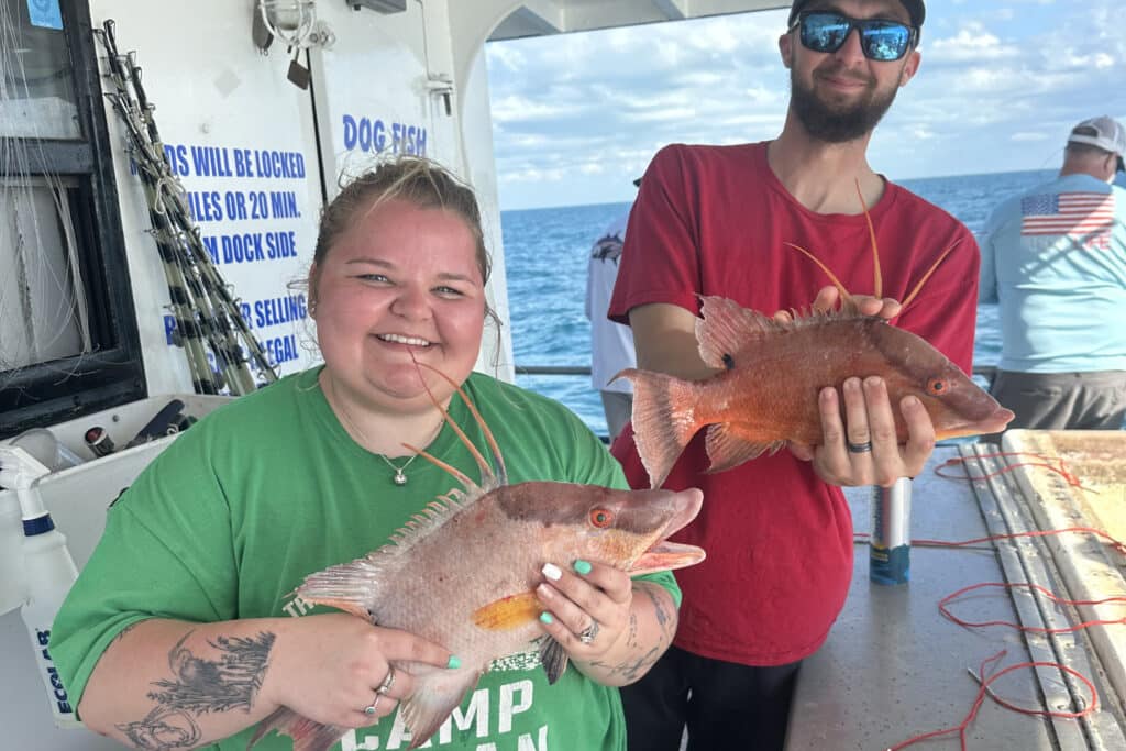 NEARSHORE-hogfish (8)