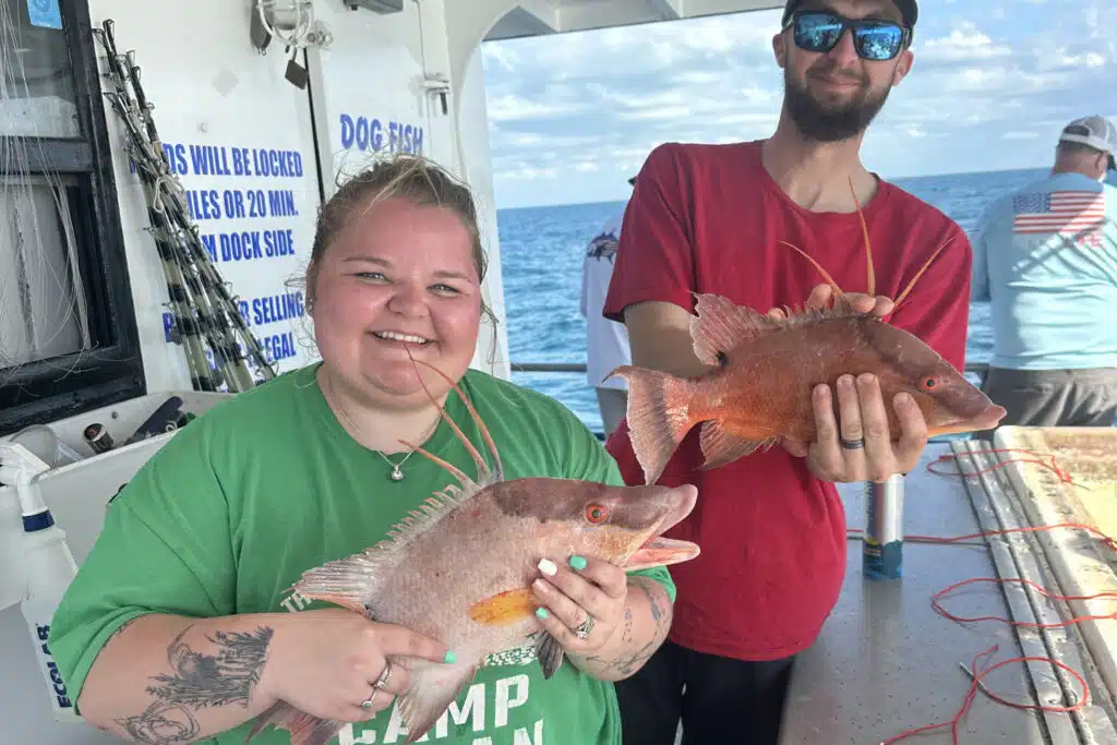 NEARSHORE-hogfish (8)