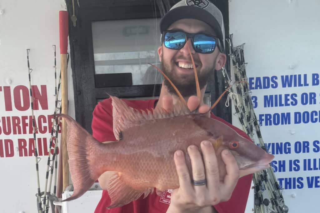 NEARSHORE-hogfish (9)