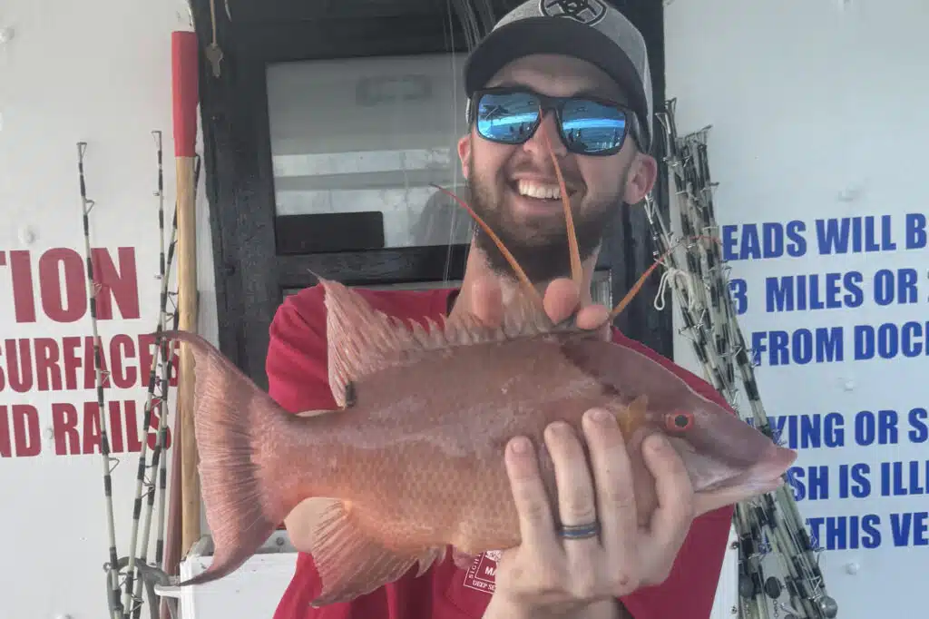NEARSHORE-hogfish (9)
