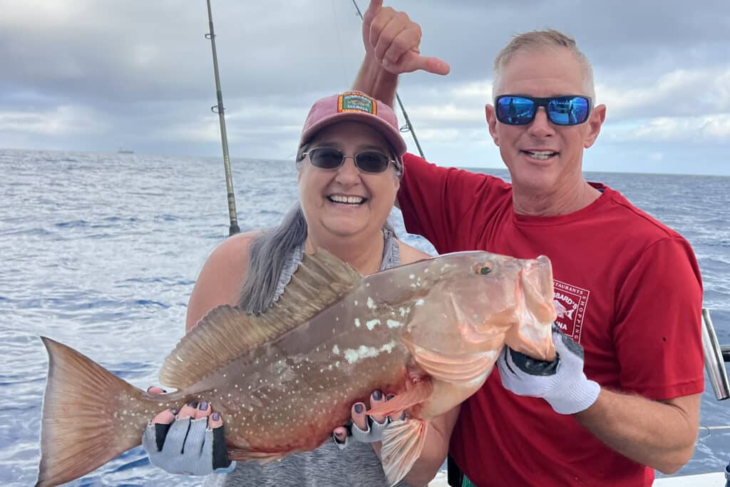 NEARSHORE-redgrouper (1)