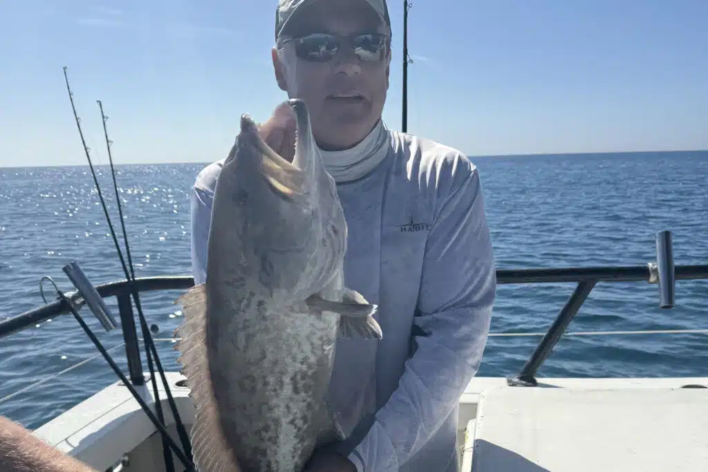 OFFSHORE-gaggrouper (1)