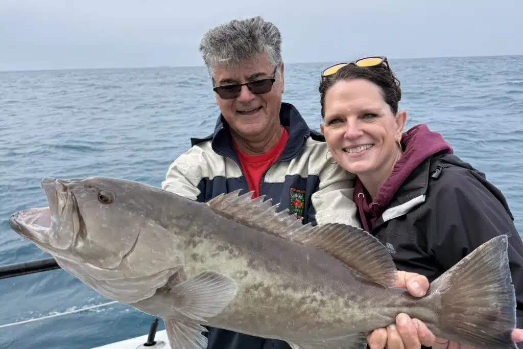 OFFSHORE-gaggrouper (1)