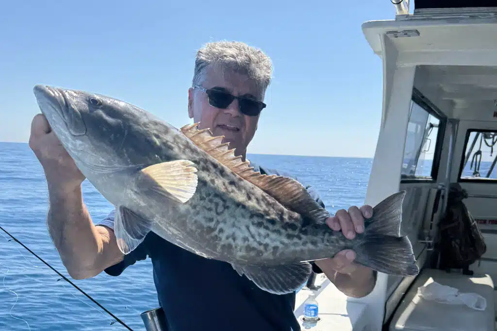 OFFSHORE-gaggrouper