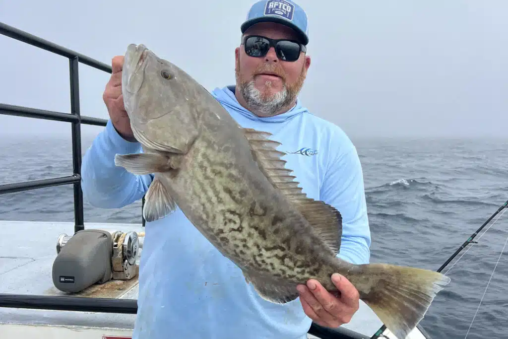 OFFSHORE-gaggrouper
