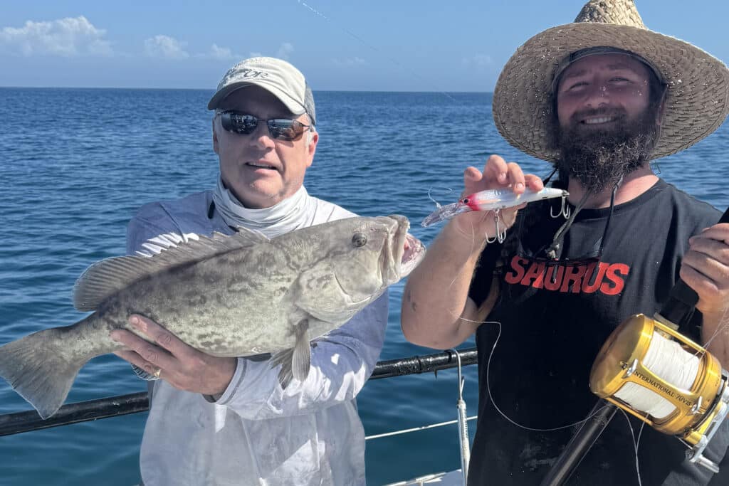 OFFSHORE-gaggrouper