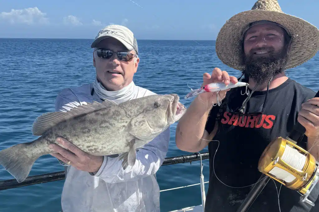 OFFSHORE-gaggrouper