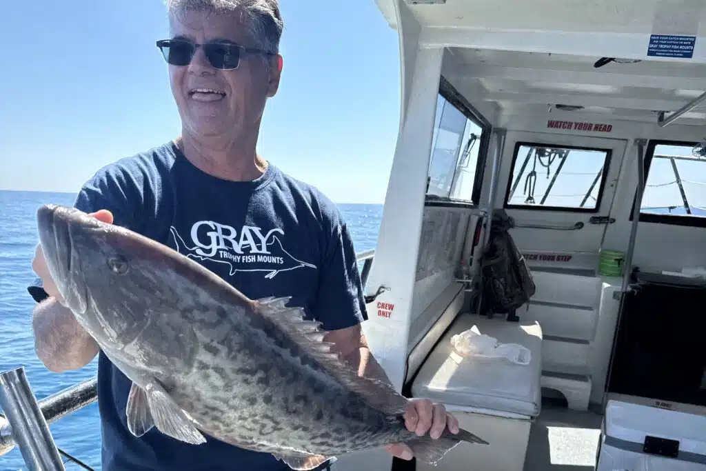OFFSHORE-gaggrouper2