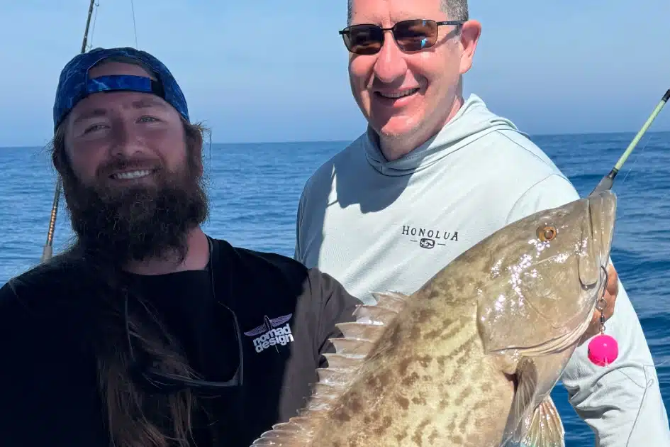 OFFSHORE-gaggrouper4