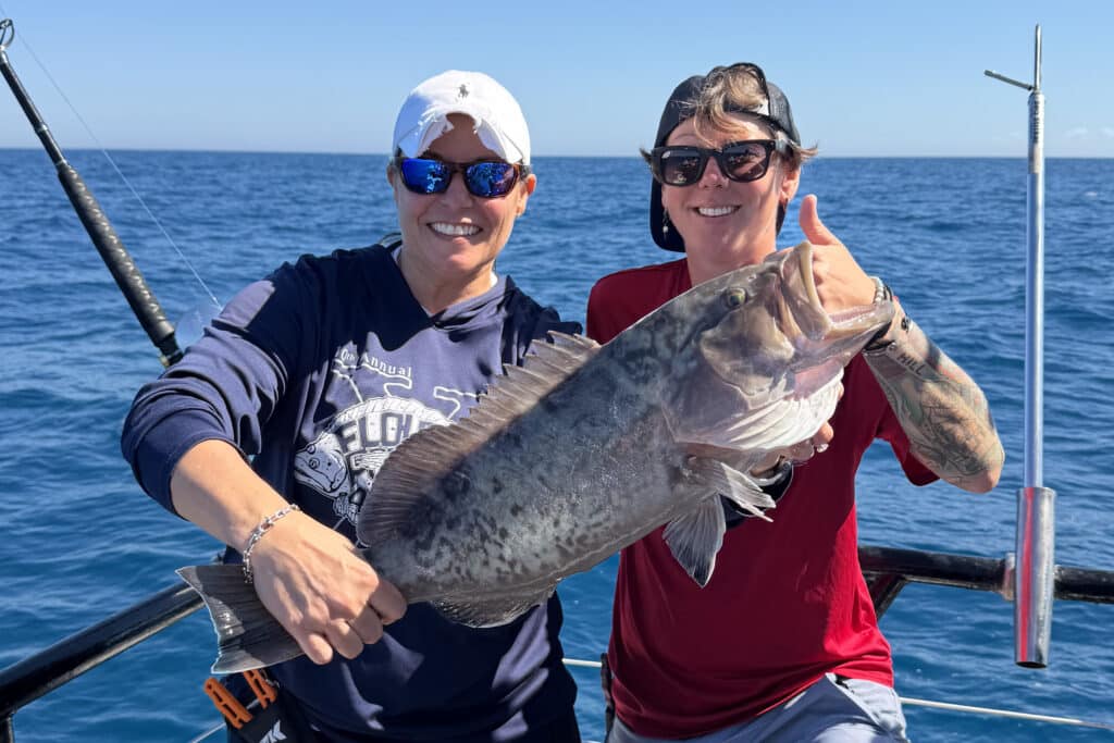 OFFSHORE-gaggrouper5