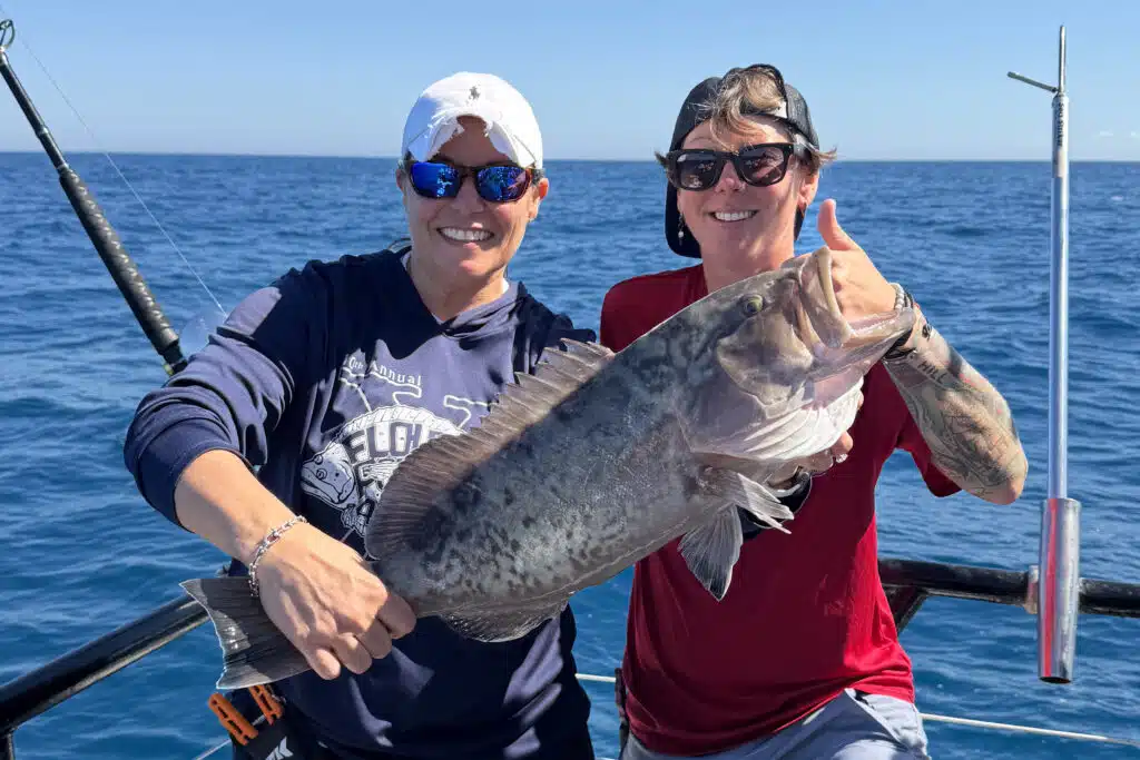 OFFSHORE-gaggrouper5