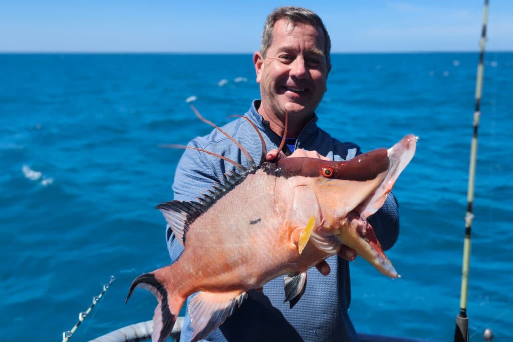 OFFSHORE-hogfish