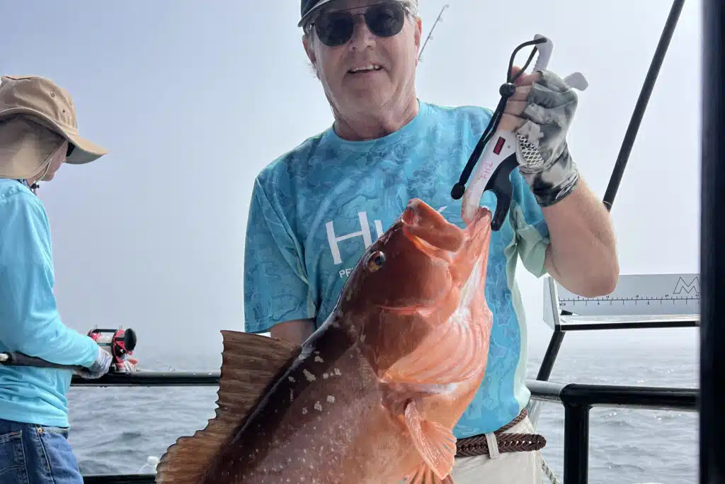 OFFSHORE-redgrouper (1)