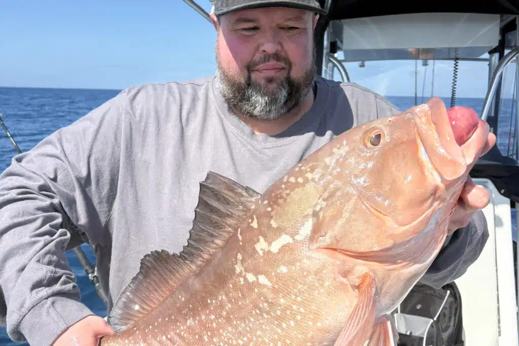 OFFSHORE-redgrouper (6)