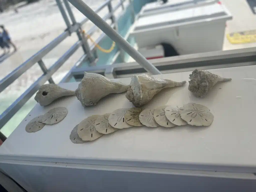 Photo Mar 10 2026, 11 20 50