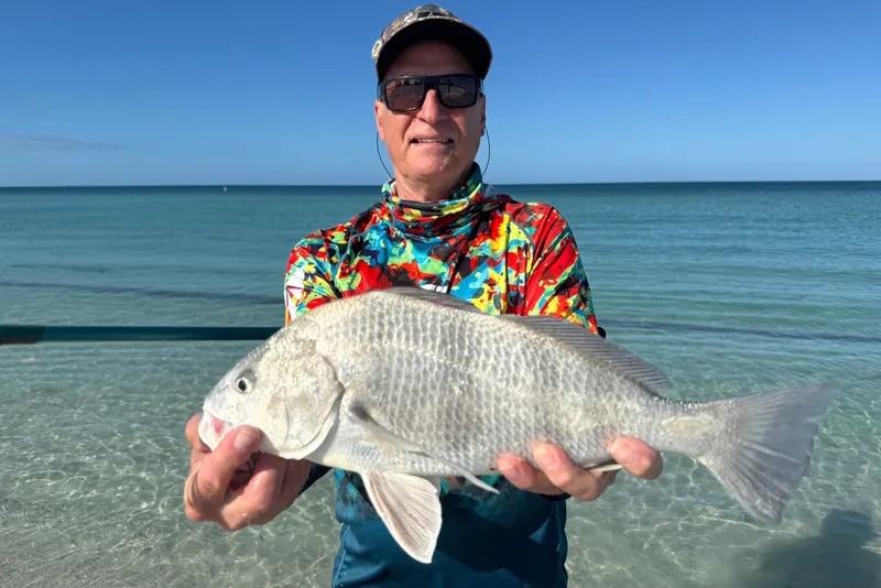 INSHORE-blackdrum