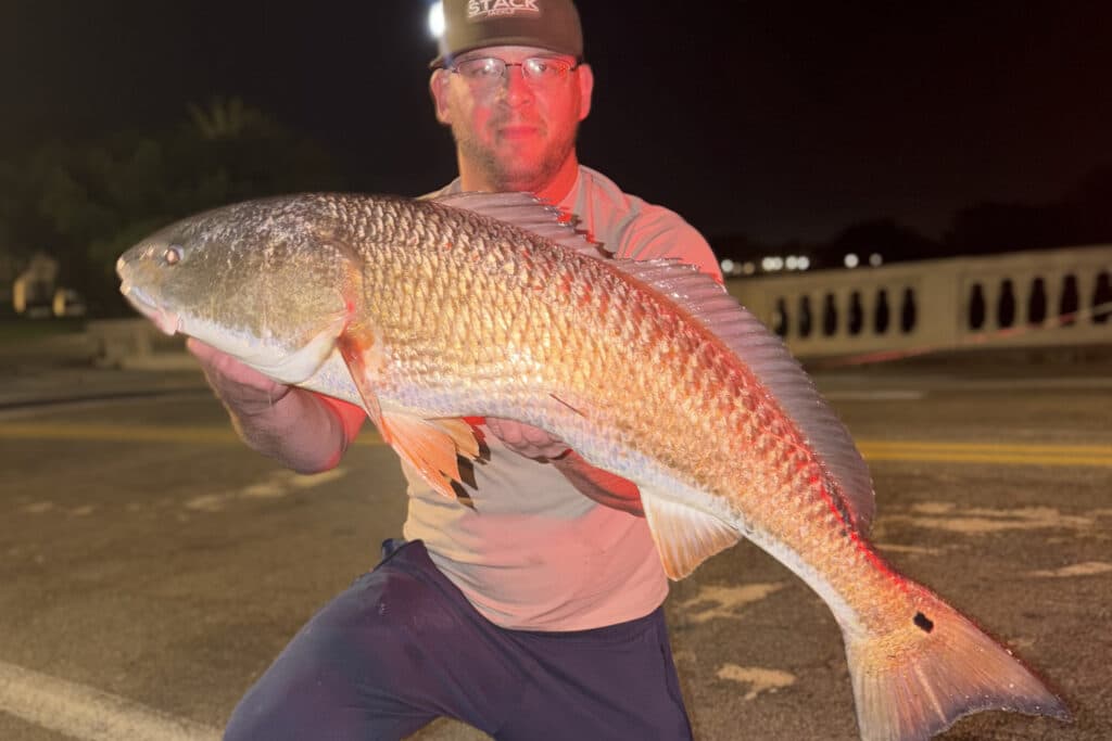 INSHORE-redfish