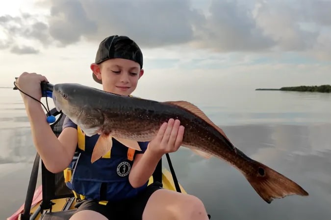 INSHORE-redfish
