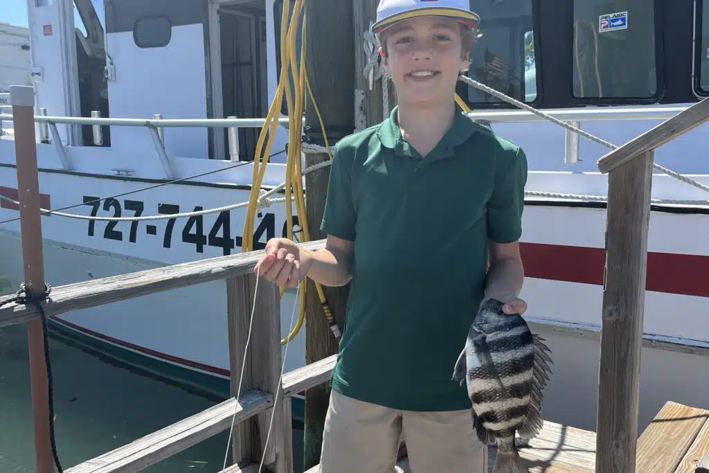 INSHORE-sheepshead