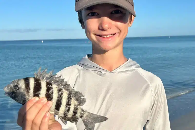 INSHORE-sheepshead