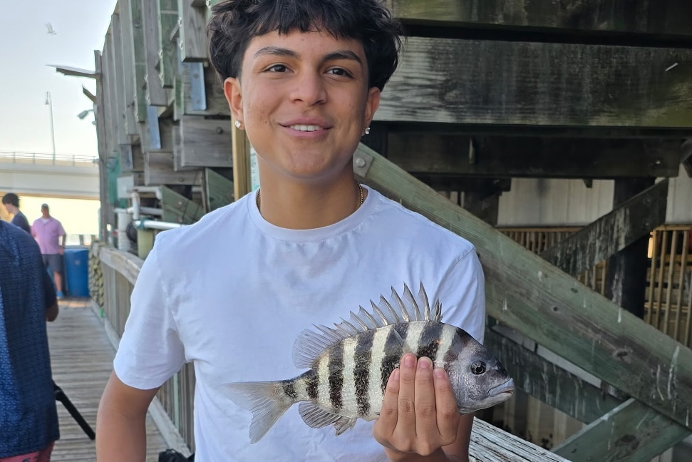 INSHORE-sheepshead
