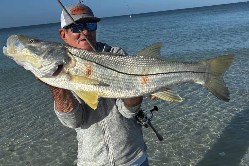 INSHORE-snook (1)