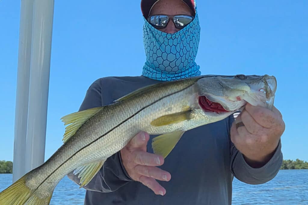 INSHORE-snook (2)