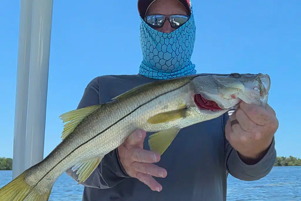 INSHORE-snook (2)