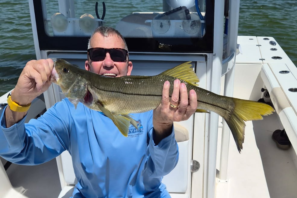 INSHORE-snook (3)