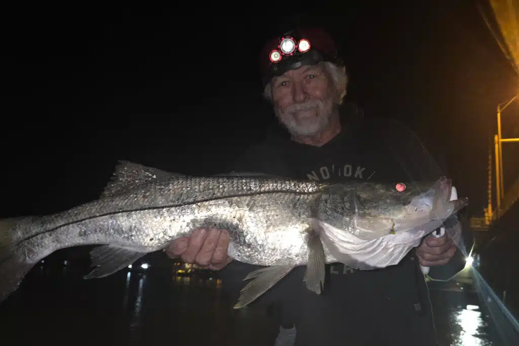 INSHORE-snook