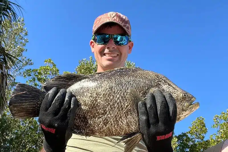 INSHORE-tripletail
