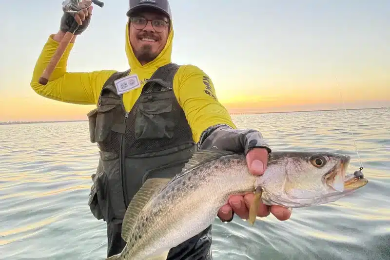INSHORE-trout