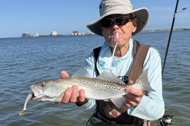 INSHORE-trout5
