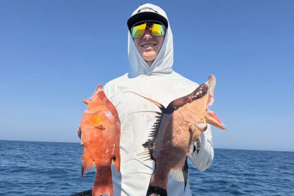 NEARSHORE-hogfish (1)