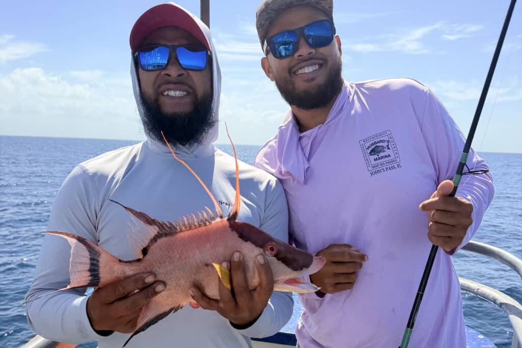 NEARSHORE-hogfish (2)