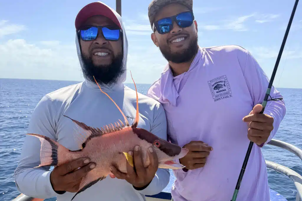 NEARSHORE-hogfish (2)