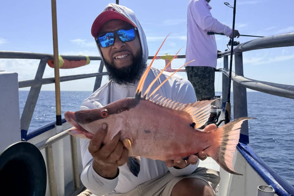 NEARSHORE-hogfish (3)