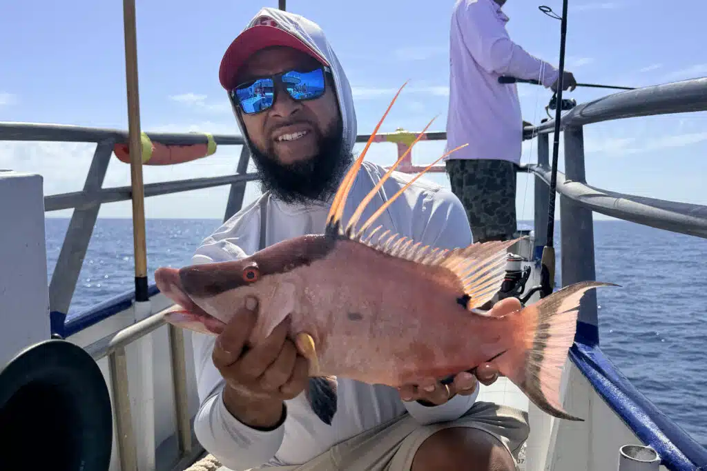 NEARSHORE-hogfish (3)
