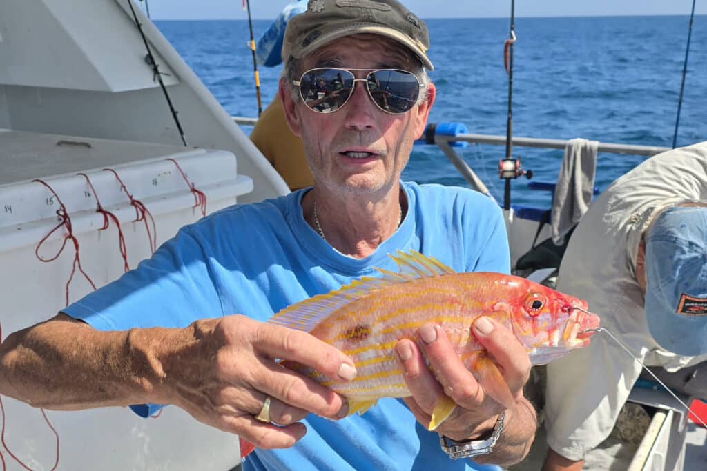 NEARSHORE-lanesnapper (1)