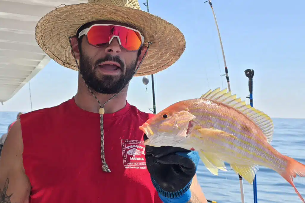 NEARSHORE-lanesnapper