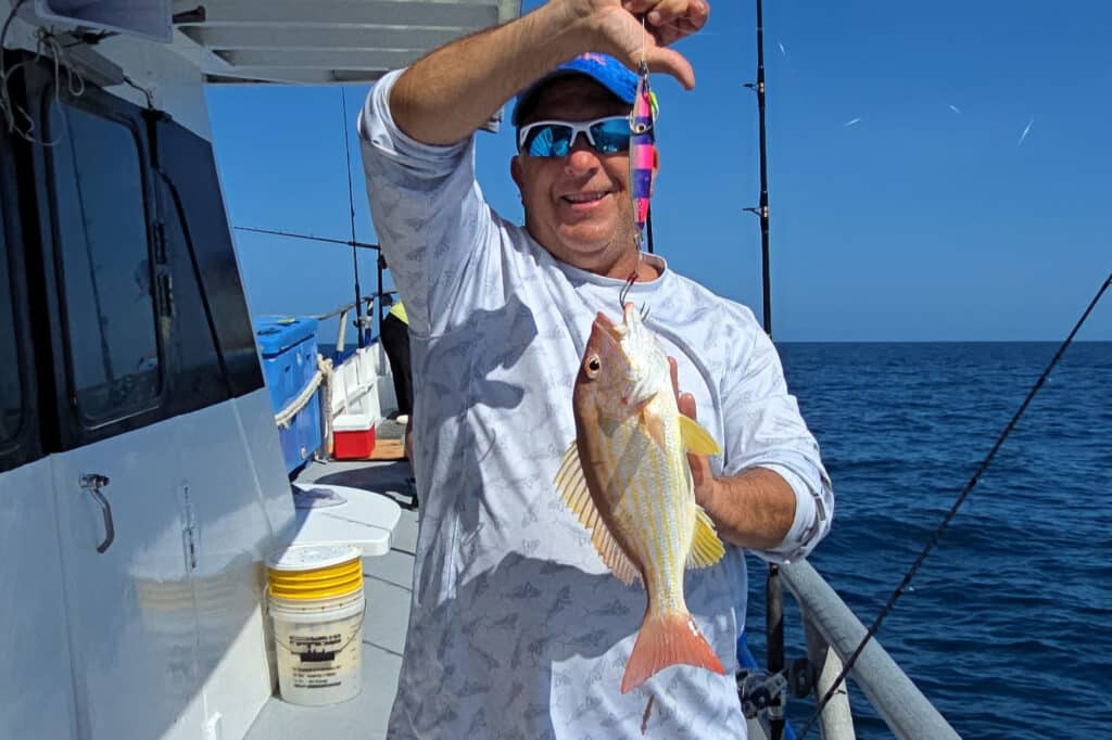 NEARSHORE-lanesnapper (2)