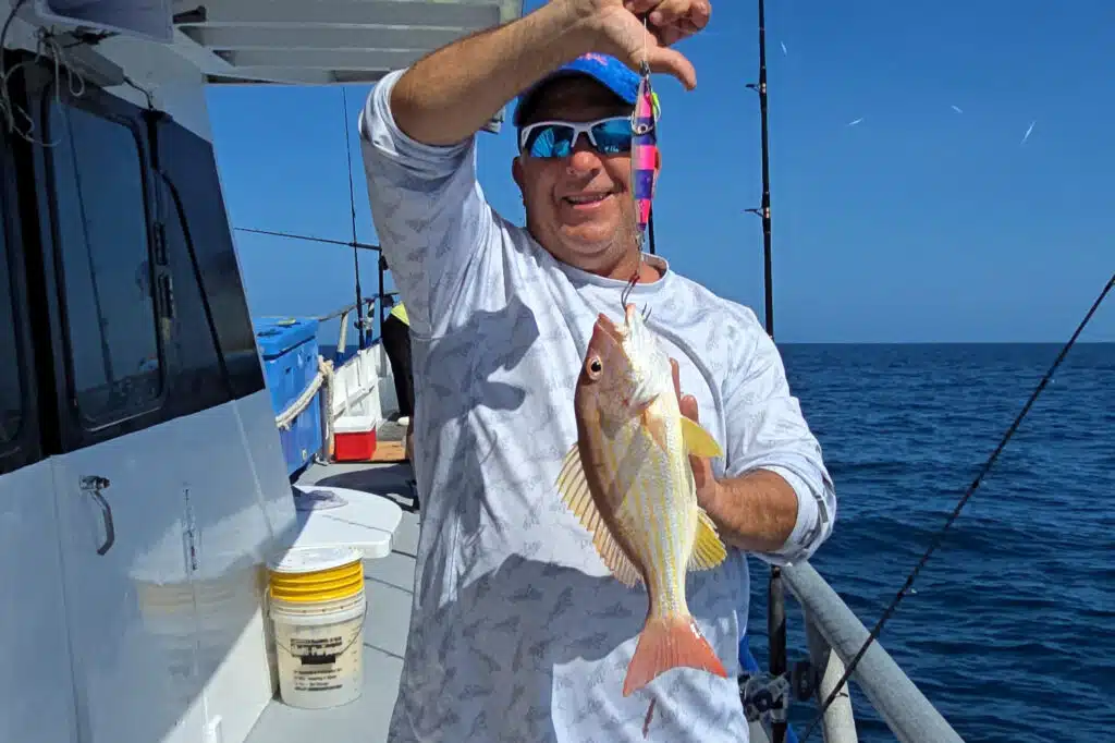 NEARSHORE-lanesnapper (2)