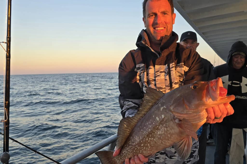 NEARSHORE-redgrouper (1)