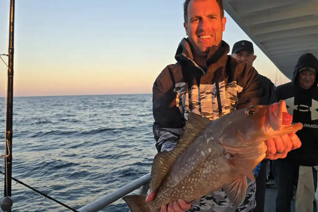 NEARSHORE-redgrouper (1)