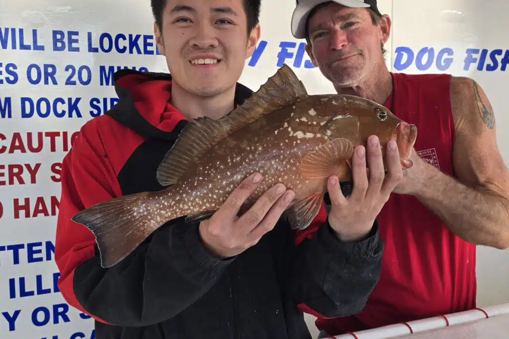 NEARSHORE-redgrouper (2)